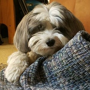 Meet your Posher, Pam